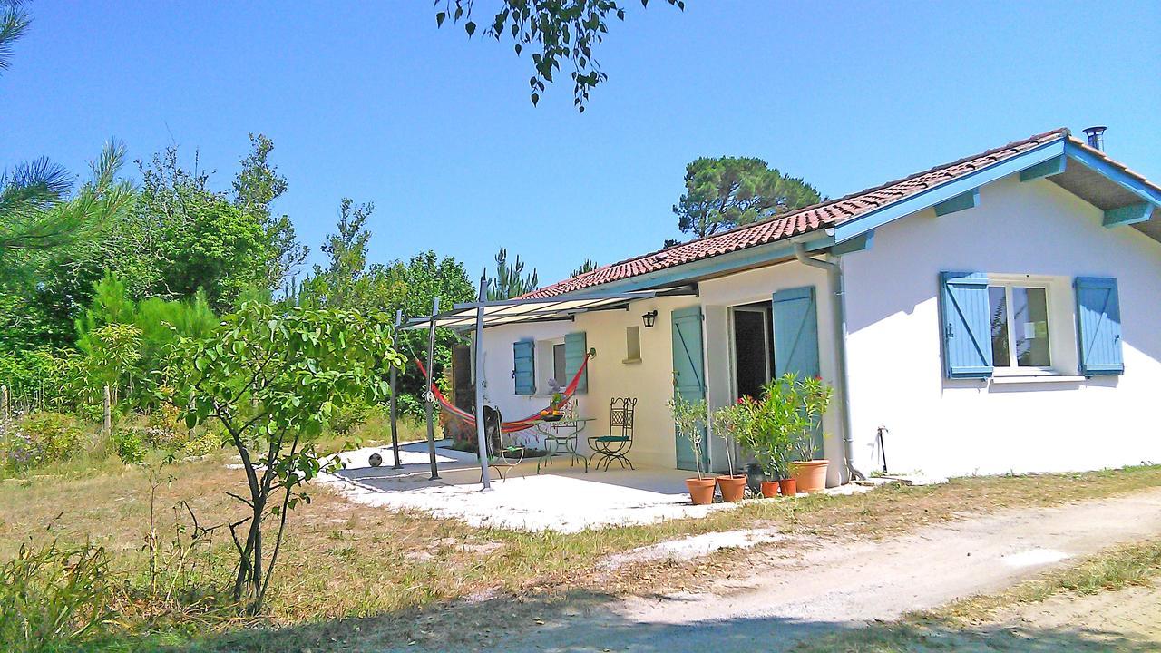 Sauna - Jacuzzi - 100% Prive - L'Estantada Linxe Exterior photo
